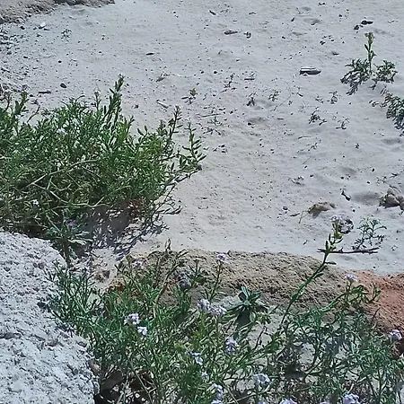 Albachiara By My Apulia Apartment *